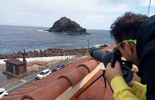 Vv La Joya Del Mar Suites - Foto 38