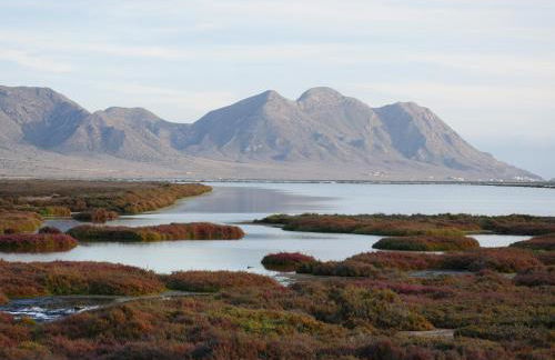 Precioso apartamento en Cabo de Gata - Foto 6