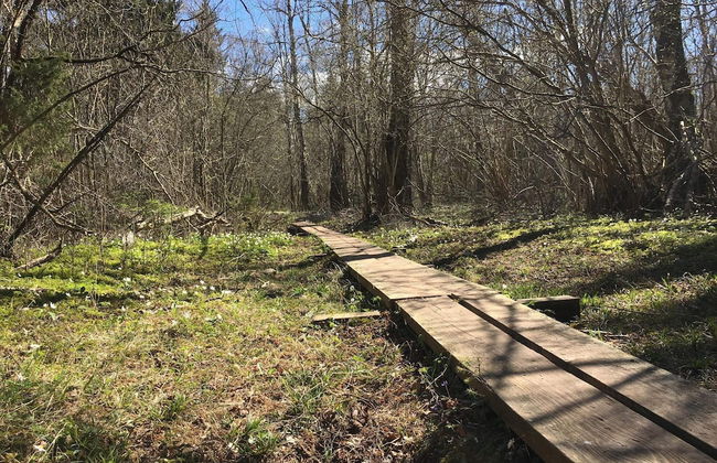 10 Person Holiday Home in Farjestaden - Foto 13