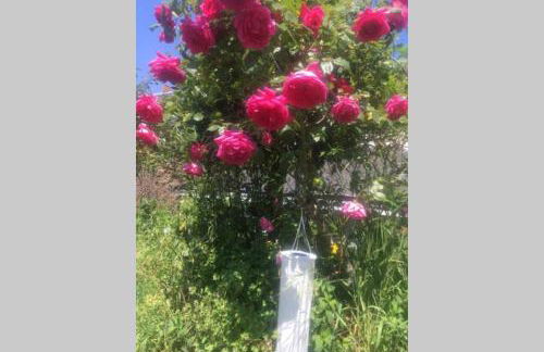 Abbey Road Le Thoureil Maison 6 chambres 12 personnes - Photo 37