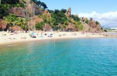 Serenity Apprt 1 - Photo 12