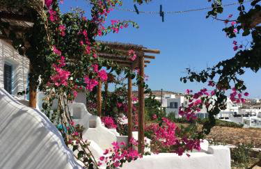 Apollon Koufonisia Studios - Photo 2