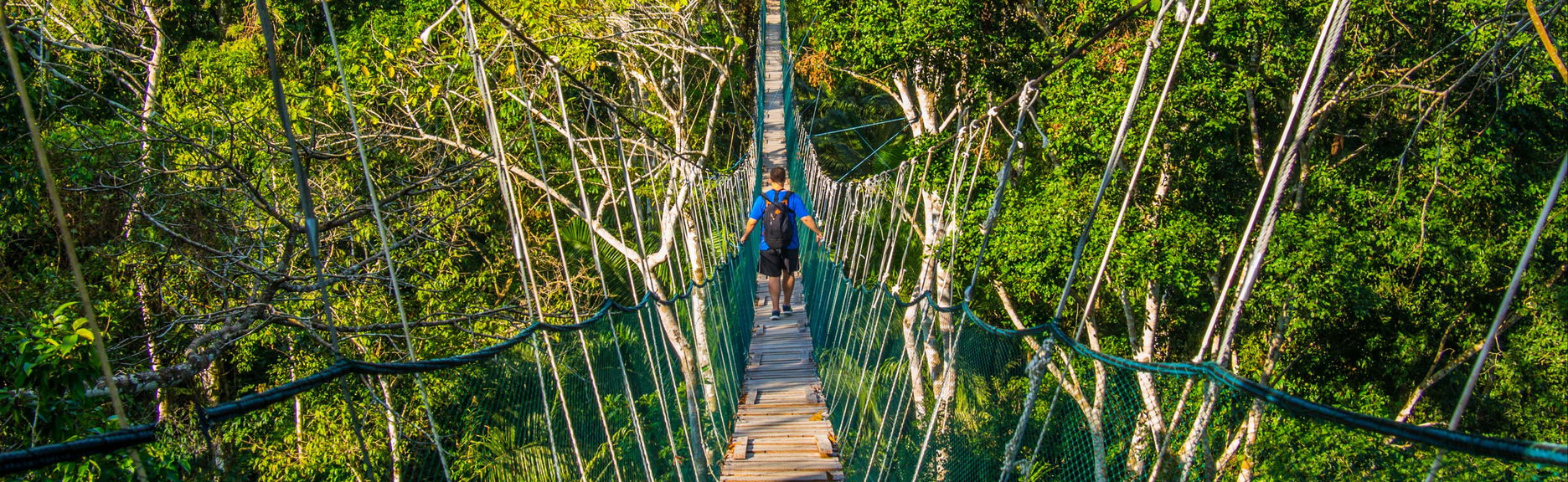 Amazon Rainforest: 4 or 5-Day Tour - Foto 1