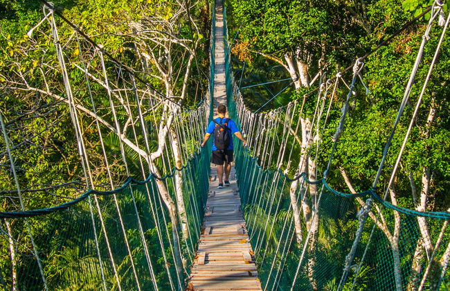 Amazon Rainforest: 4 or 5-Day Tour - Photo 1