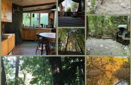 Waldfloß Biberspur - Foto 10