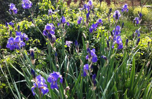 Green Park Apartments - Foto 102