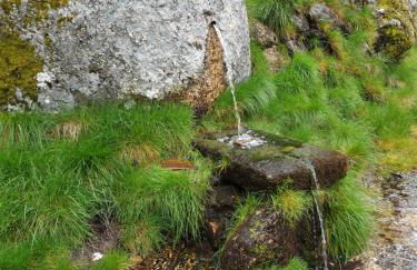 Casa dos Cisnes - Serra da Estrela - São Paio - Gouveia - Portugal - Foto 45