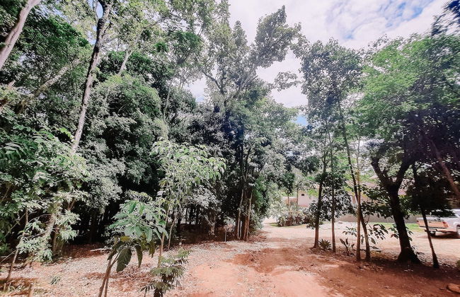 Recanto das Videiras - Foto 56