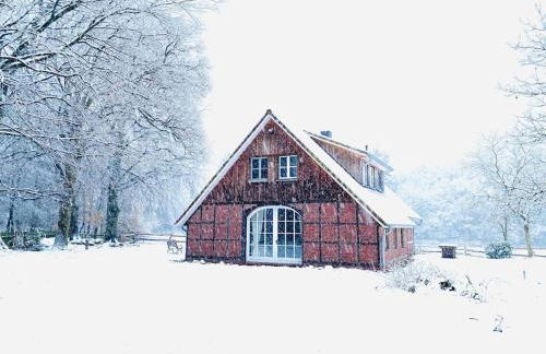 Urlaub mit Hund im Ferienhaus am Wingster Wald - Foto 9