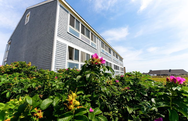 Edgewater Beach Resort, a VRI resort - Photo 49