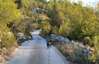 Kuća Mali Raj - Little Paradise - Foto 59