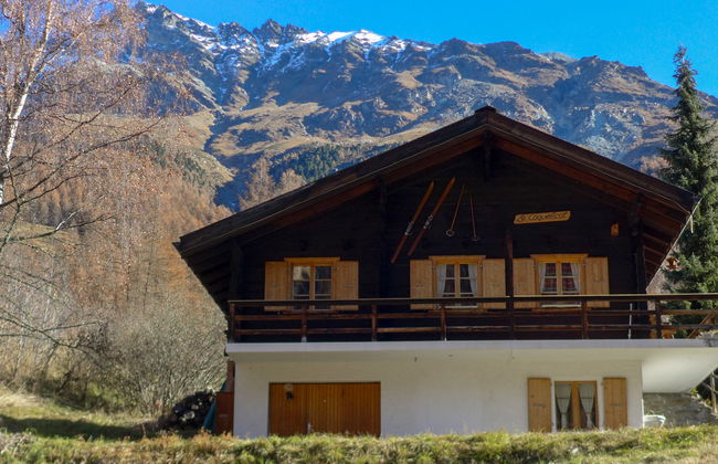 Coquelicot - Foto 25