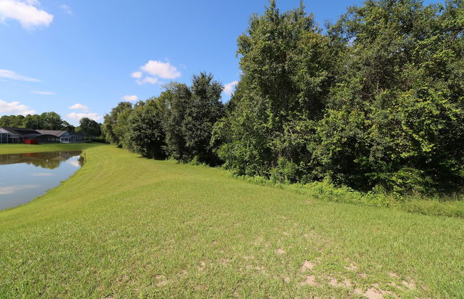 Near Theme Parks! In-Ground 3 BR Pool Home, Sleeps 7, Total Privacy! - Foto 72