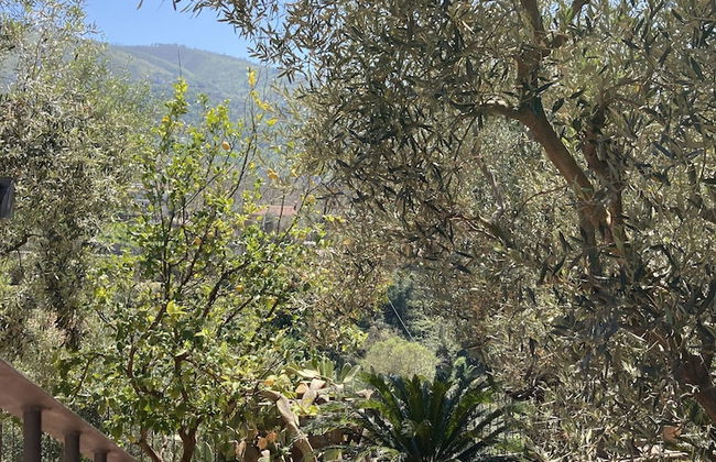 Nonno Luigino - Photo 50