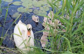 Apartament nad wodą 2 - Foto 32