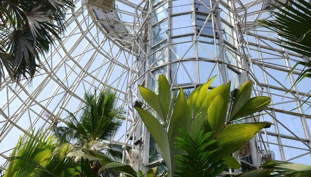 San Antonio CityPASS ® - Foto 5