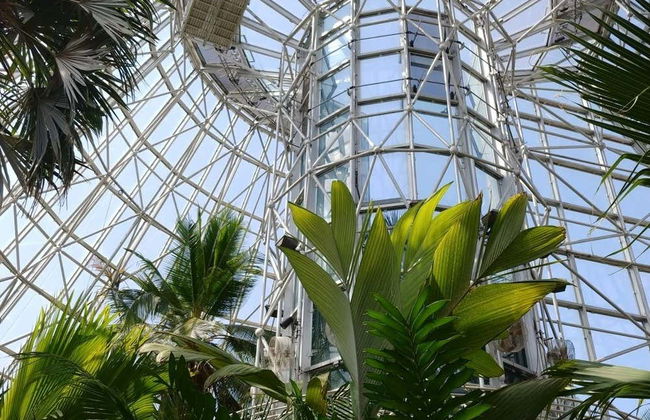 San Antonio CityPASS ® - Foto 5