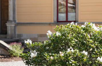 Villa Emma - Foto 23