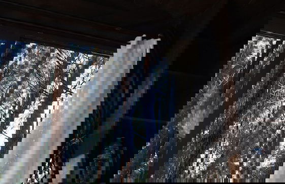 Les Landines - Foto 9