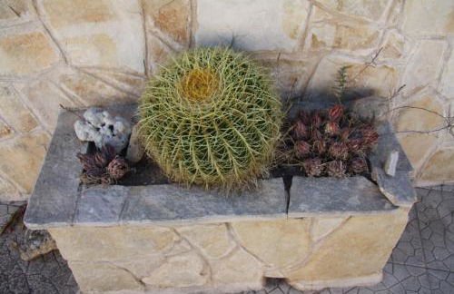 La Casa di Dario - Foto 28