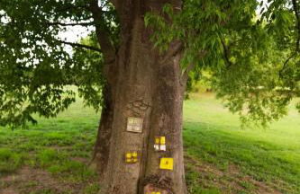 all'ombra del Bagolaro - Photo 1