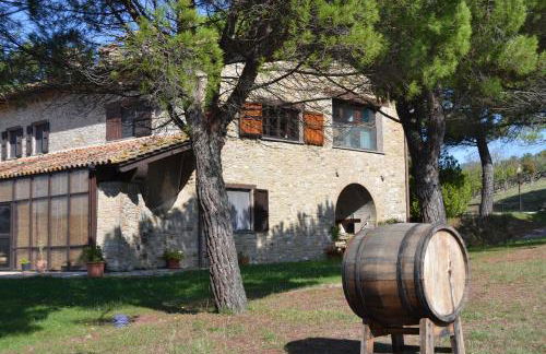 Agriturismo I Muri - Foto 13