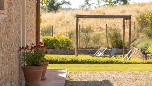 Luminoso Fienile vista vigne - Foto 2, Garden, sunbed, Garden view