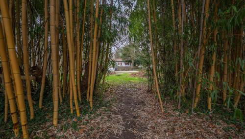 das Wersehaus mit direktem Wasserzugang inkl Kanu - Foto 5