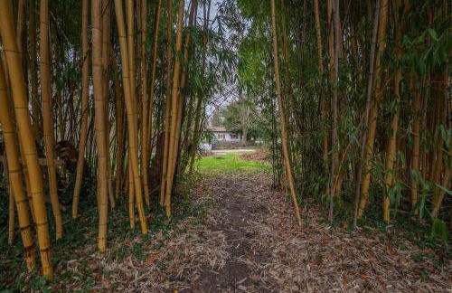 das Wersehaus mit direktem Wasserzugang inkl Kanu - Foto 5