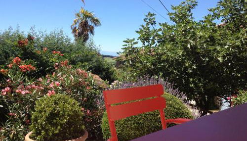 Gite Au Bouzigues - Photo 5, Garden