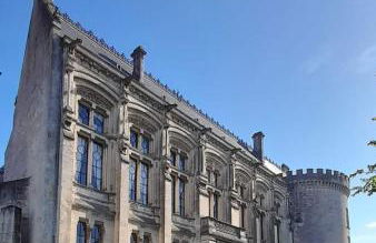 Le Cerf au Bois Dormant - Foto 12