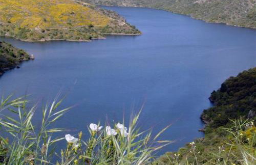 Refúgio do Douro Guest House - Foto 18