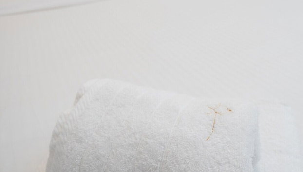 NF Meteors Residence - Foto 2, Habitación