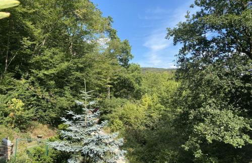 Design and art Comfortable holiday residence - Foto 20