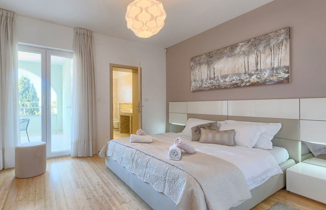 Salamander - Foto 44