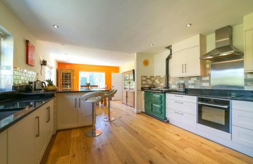 The Quackery - Foto 63