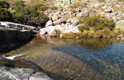 El Torreón I - Photo 29