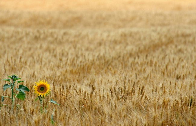 Borgo Mandoleto - Foto 69