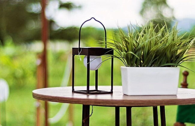 encanto Toscano - Photo 4