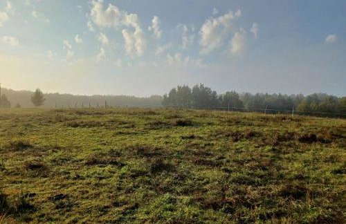 Siedlisko Dwa Żurawie - Uroczy domek nad stawem, z kominkiem, obok konie - Foto 21