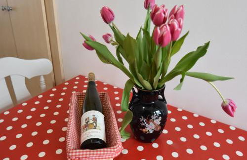 Elegant Holiday Home in Saint Louis With Garden - Foto 106