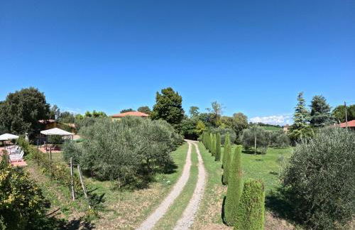 Agriturismo Gardenali - Foto 23