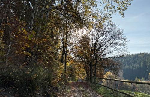 Erholung im Wald - mit Schwimmbad - Foto 36