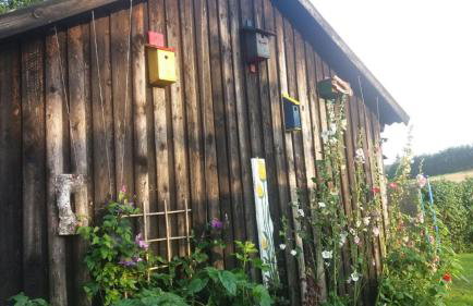 W starej szkole - agroturystyka - Foto 57