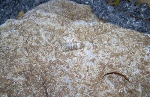 Secluded Sedona Tiny House in Woods Near Lake | Fire Pit, Hammocks, Full Kitchen & Breakfast - Foto 14