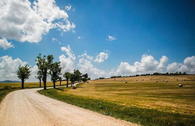 La Polledrara Relais di Campagna - Foto 31
