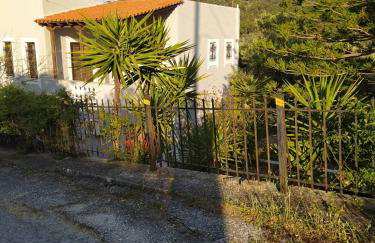 Διαμερισμα V&M - Foto 2