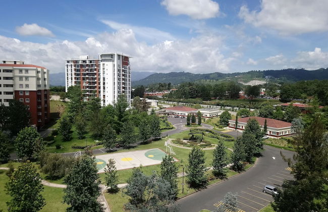 Pink House 604 - Photo 14