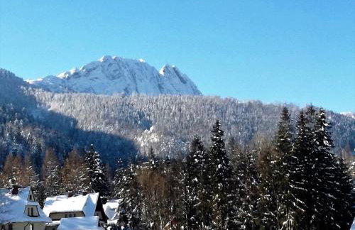 Apartament Górski Potok Murzasichle Apartamenty Murzasichle PL - Foto 74