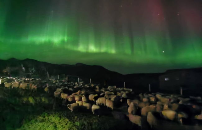 Álftártunga farm guesthouse - Foto 24